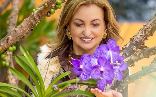 Eletro Fios: iluminando histórias no Jardim das Memórias da CASACOR MT 2026