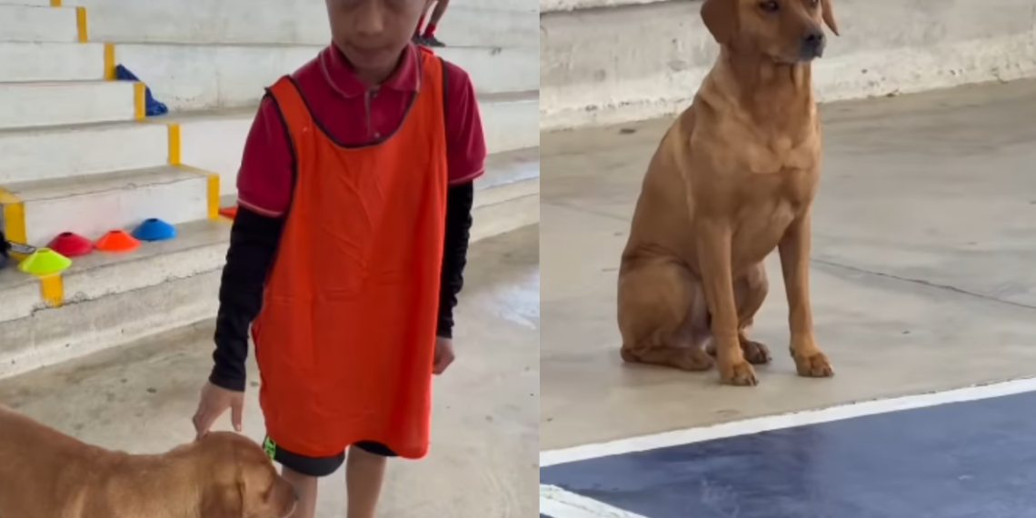 Foto: www.uai.com.br
